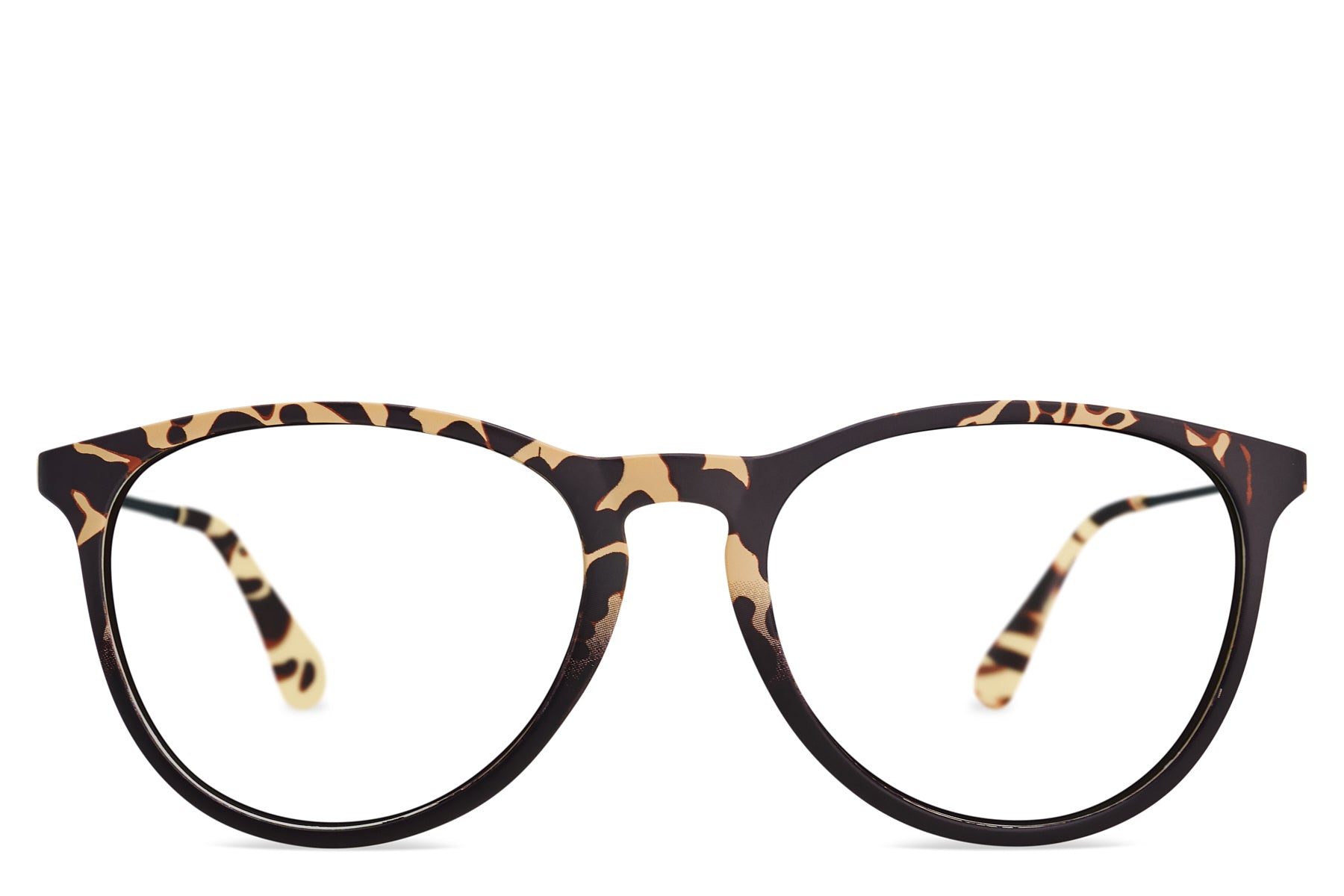 Alternative view of Allure Rx   Prairie Tortoise