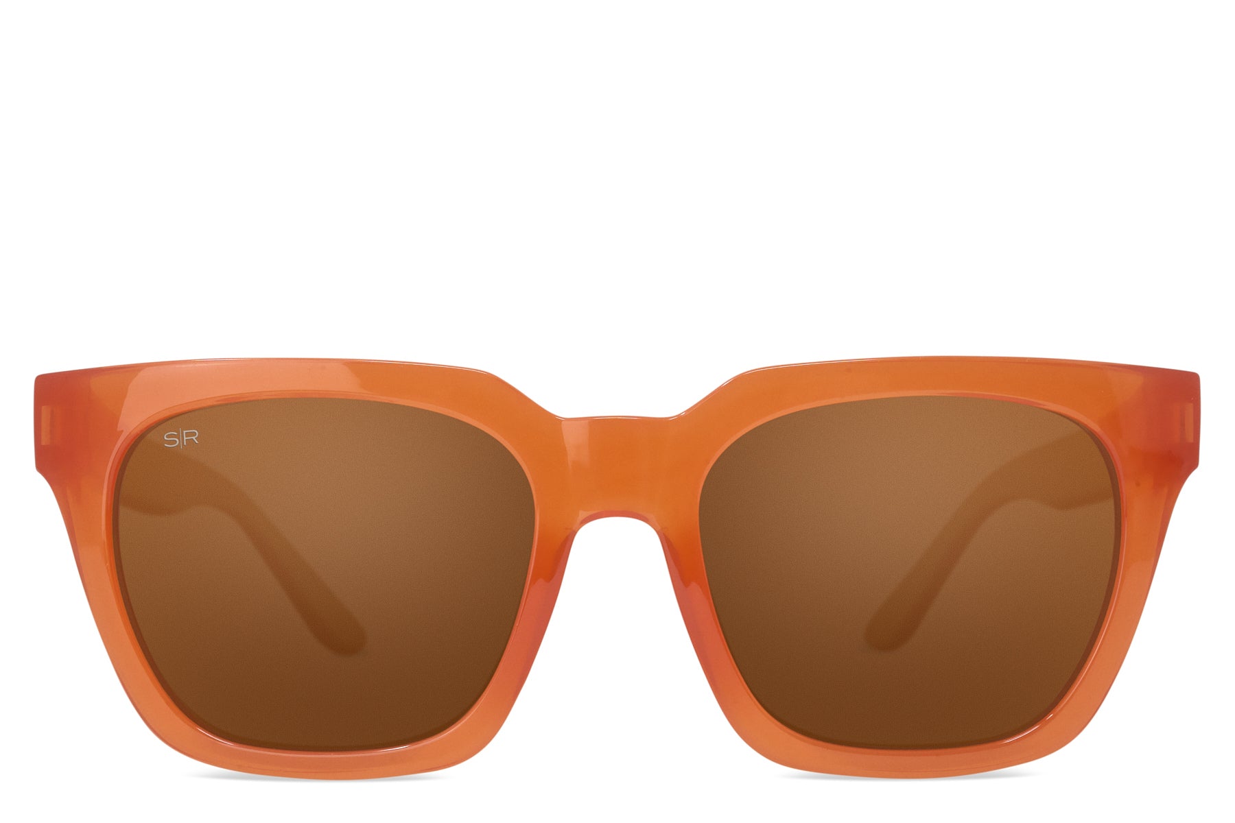 Alternative view of Dahlia   Rust Polarized