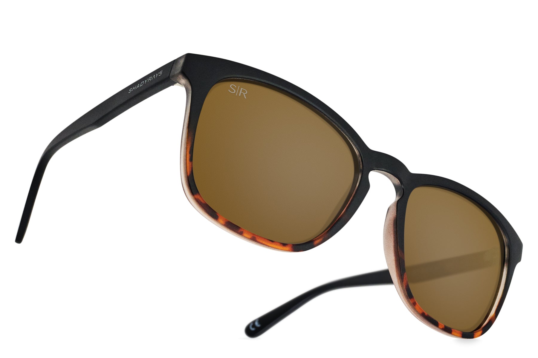 Cypress   Black Tortoise Polarized