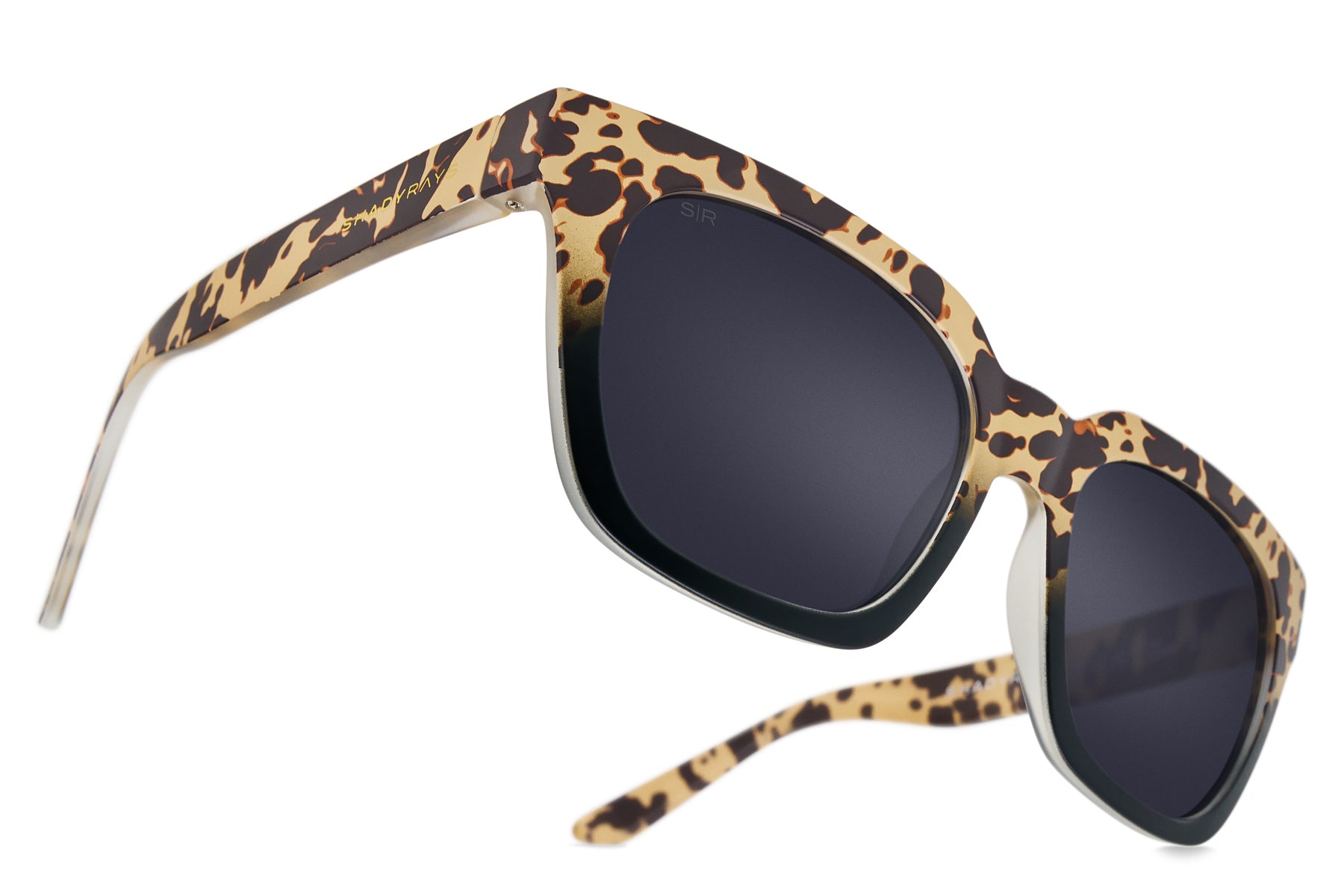 Dahlia   Prairie Tortoise Polarized