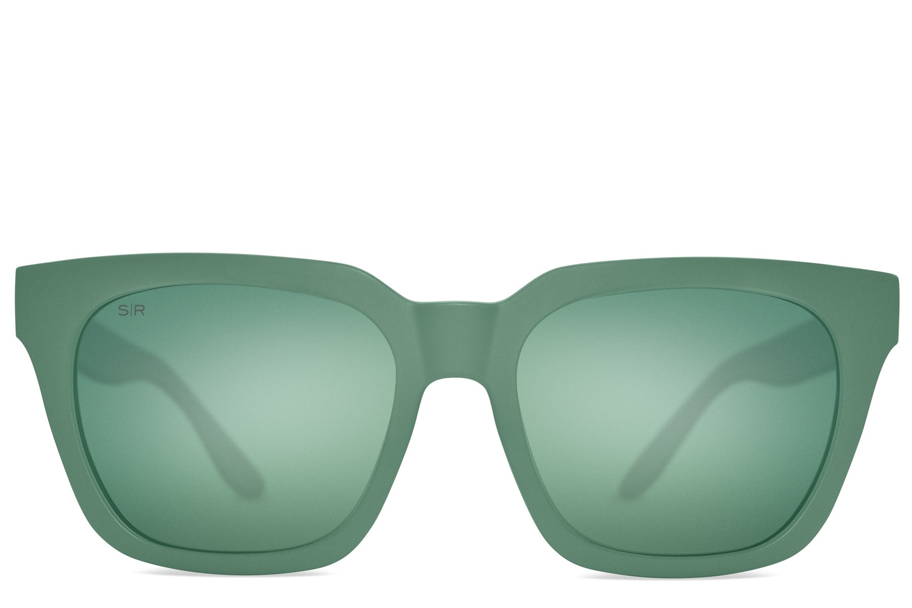 Alternative view of Dahlia   Agave Polarized